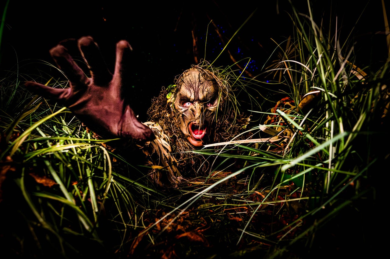 Traust du dich, Wicked Woods zu betreten? - Halloween Fright Nights